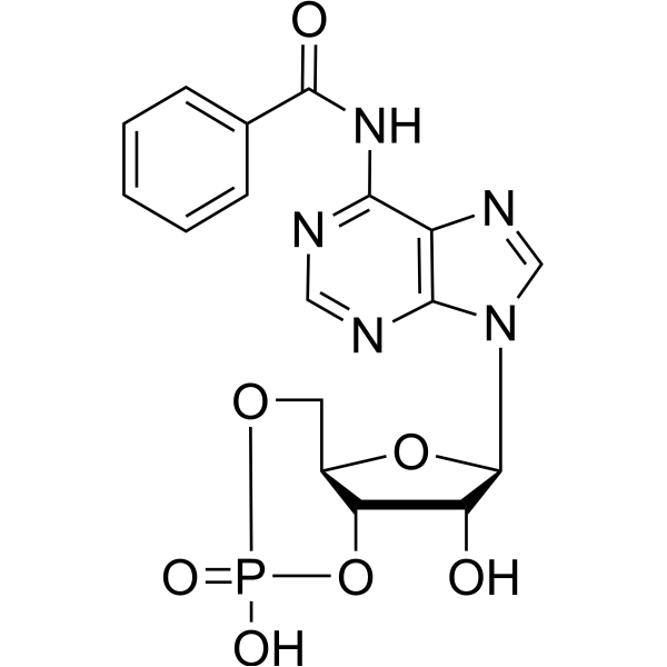 6-Bnz-cAMP 30275-80-0